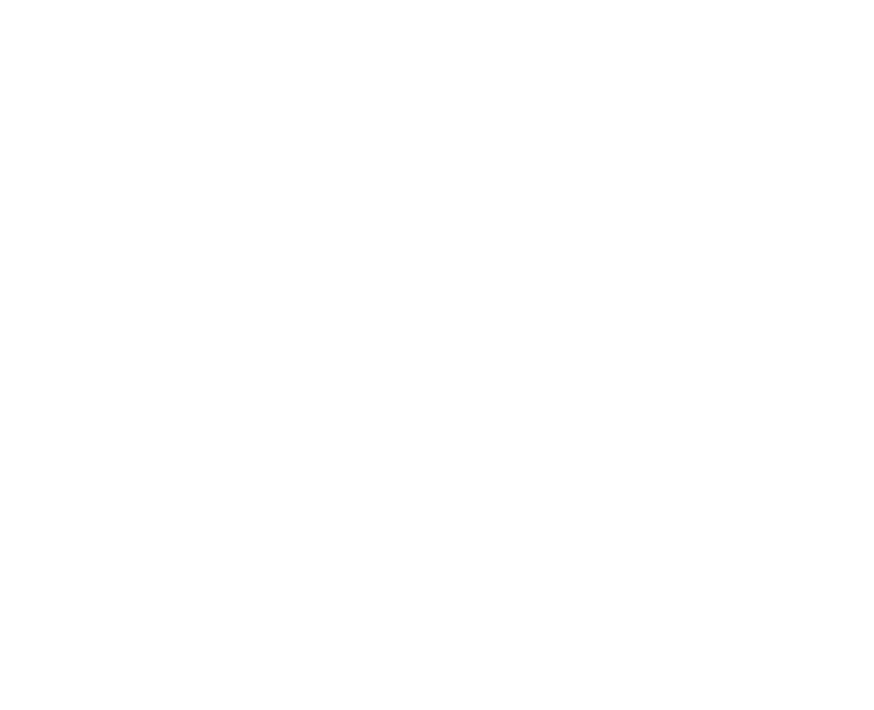 Downtown Insurance Group | Home, Auto, and Commercial Insurance | South Florida Downtown Insurance Group | Home, Auto, and Commercial Insurance | South Florida